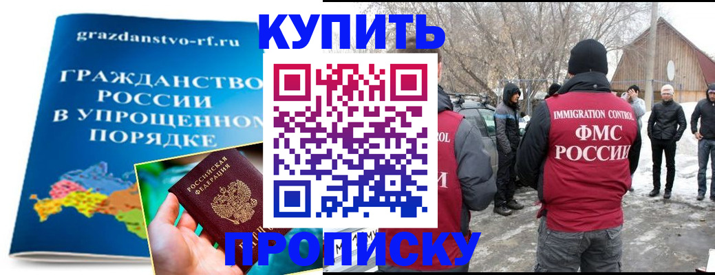 временная регистрация поиск в Балтийске